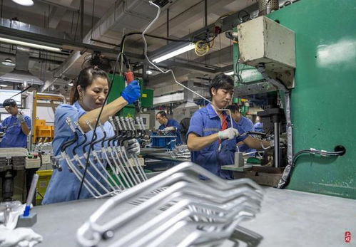 上海汽配 農(nóng)村集體資產(chǎn)制造業(yè)企業(yè)上市新征程